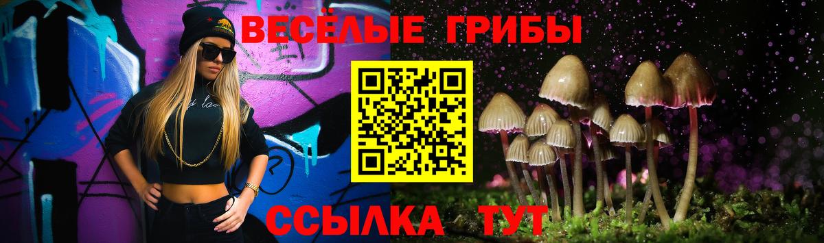 Галлюциногенные грибы Cubensis Тайшет